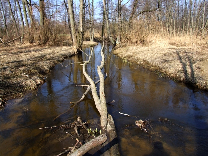 Shrap-Drakers.pl | Shrap Drakers Fishing | Wędkarstwo 