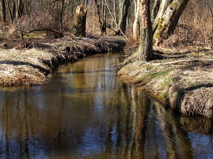 Shrap-Drakers.pl | Shrap Drakers Fishing | Wędkarstwo 