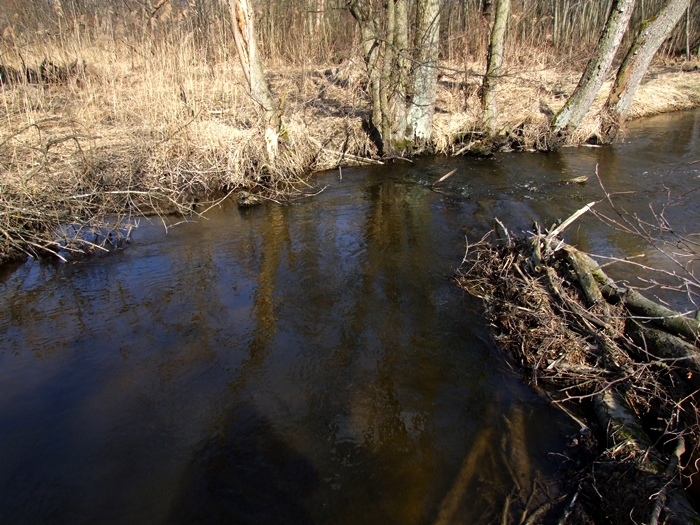 Shrap-Drakers.pl | Shrap Drakers Fishing | Wędkarstwo 