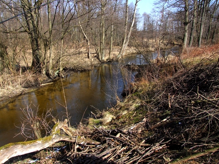 Shrap-Drakers.pl | Shrap Drakers Fishing | Wędkarstwo 