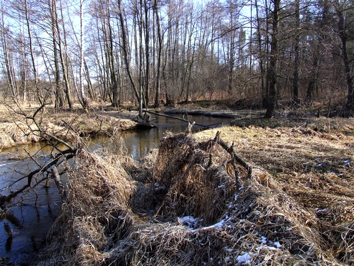 Shrap-Drakers.pl | Shrap Drakers Fishing | Wędkarstwo 