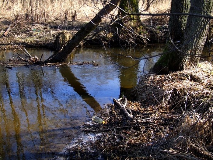 Shrap-Drakers.pl | Shrap Drakers Fishing | Wędkarstwo 