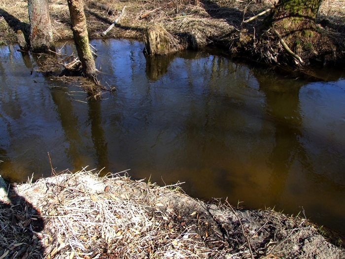 Shrap-Drakers.pl | Shrap Drakers Fishing | Wędkarstwo 