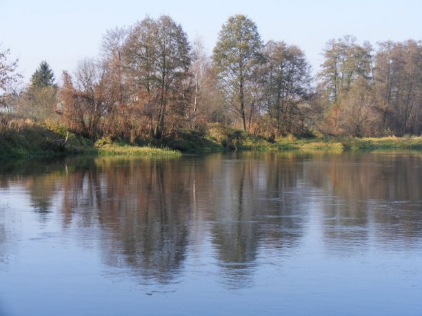 Shrap-Drakers.pl | Shrap Drakers Fishing | Wędkarstwo 