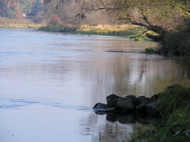 Shrap-Drakers.pl | Shrap Drakers Fishing | Wędkarstwo 