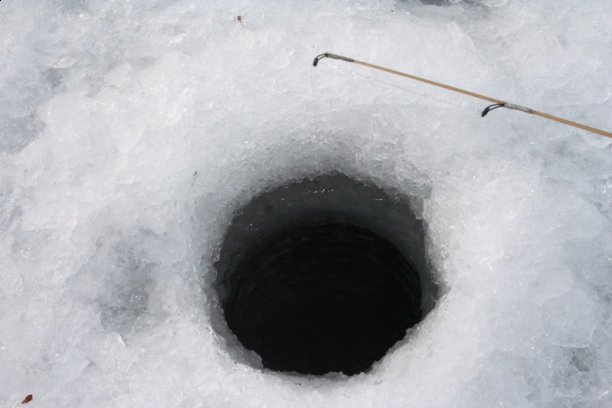 Nigdy nie mów NIGDY!