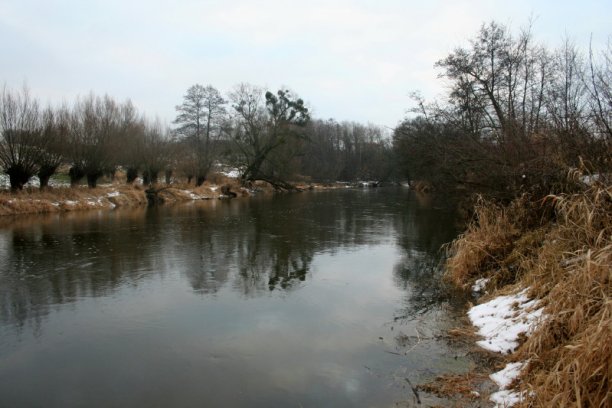 Shrap-Drakers.pl | Shrap Drakers Fishing | Wędkarstwo 