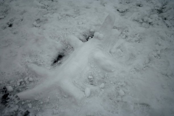 Shrap-Drakers.pl | Shrap Drakers Fishing | Wędkarstwo 