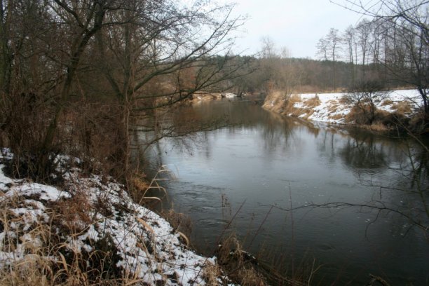 Shrap-Drakers.pl | Shrap Drakers Fishing | Wędkarstwo 