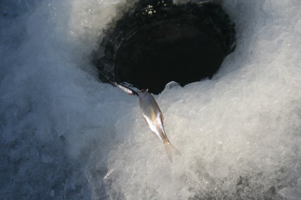 Shrap-Drakers.pl | Shrap Drakers Fishing | Wędkarstwo 