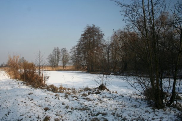 Shrap-Drakers.pl | Shrap Drakers Fishing | Wędkarstwo 