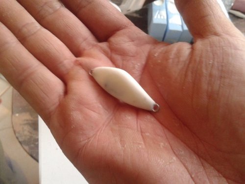 Shrap-Drakers.pl | Shrap Drakers Fishing | Wędkarstwo 