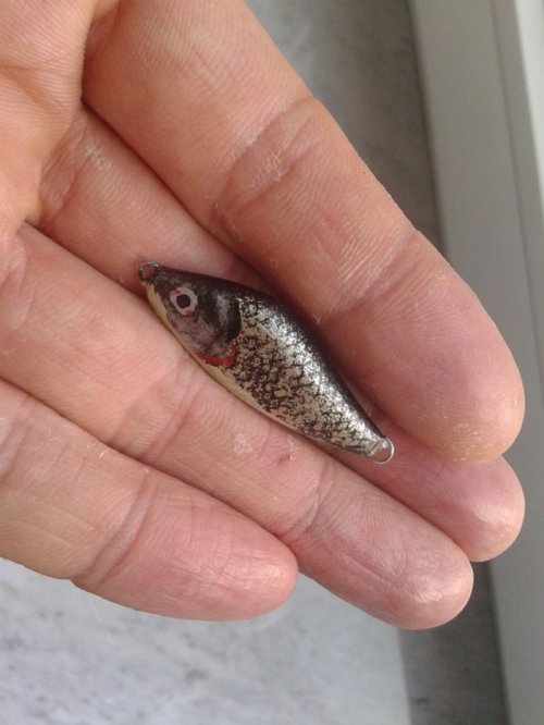 Shrap-Drakers.pl | Shrap Drakers Fishing | Wędkarstwo 