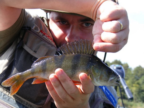 Shrap-Drakers.pl | Shrap Drakers Fishing | Wędkarstwo 