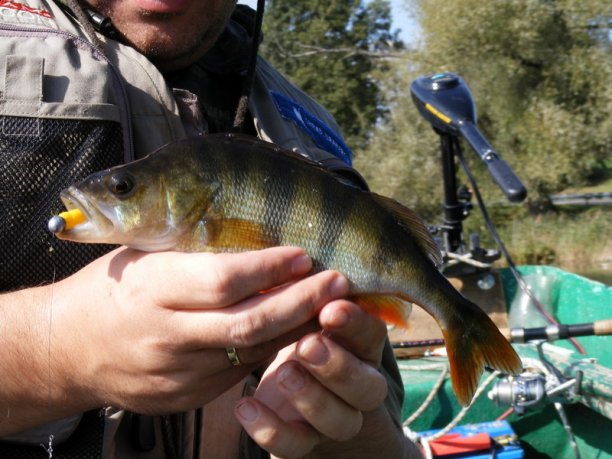 Shrap-Drakers.pl | Shrap Drakers Fishing | Wędkarstwo 