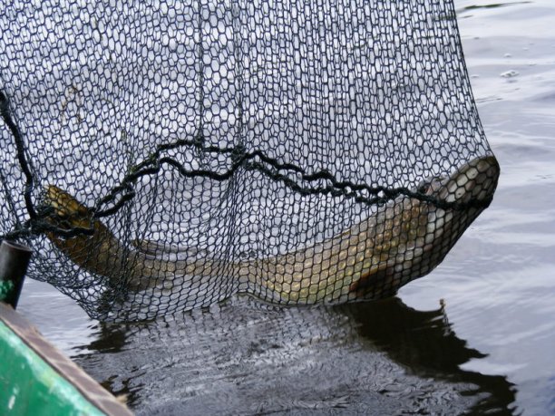 Shrap-Drakers.pl | Shrap Drakers Fishing | Wędkarstwo 