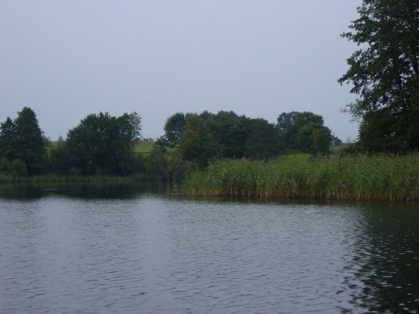 Shrap-Drakers.pl | Shrap Drakers Fishing | Wędkarstwo 