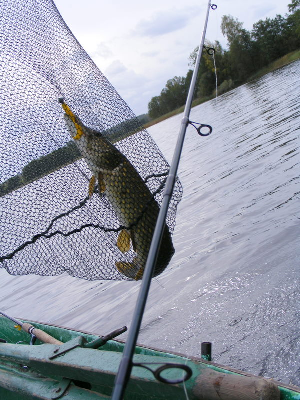 Shrap-Drakers.pl | Shrap Drakers Fishing | Wędkarstwo 