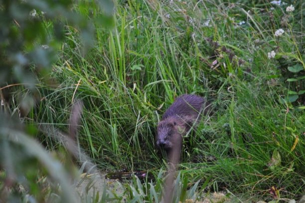 Shrap-Drakers.pl | Shrap Drakers Fishing | Wędkarstwo 