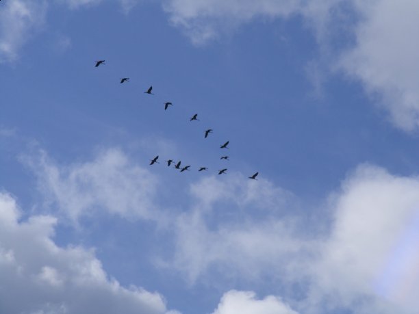 Shrap-Drakers.pl | Shrap Drakers Fishing | Wędkarstwo 