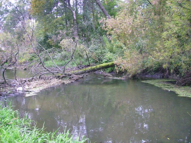 Shrap-Drakers.pl | Shrap Drakers Fishing | Wędkarstwo 