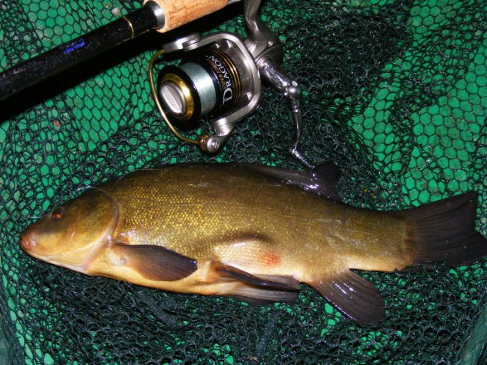 Shrap-Drakers.pl | Shrap Drakers Fishing | Wędkarstwo 