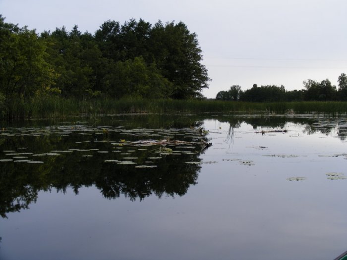 Shrap-Drakers.pl | Shrap Drakers Fishing | Wędkarstwo 