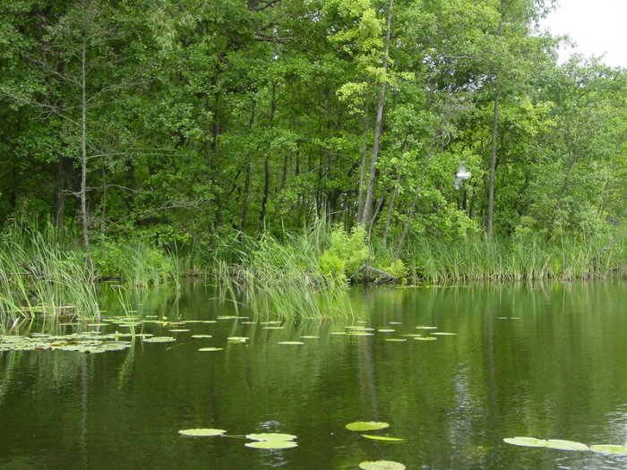 Shrap-Drakers.pl | Shrap Drakers Fishing | Wędkarstwo 