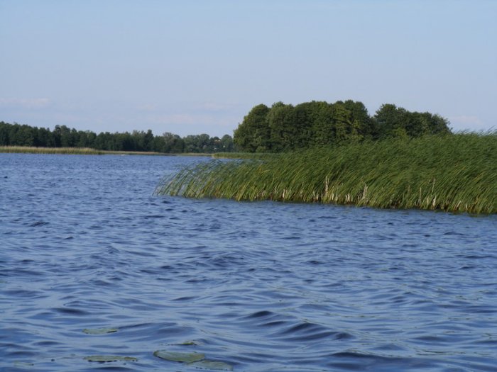 Shrap-Drakers.pl | Shrap Drakers Fishing | Wędkarstwo 