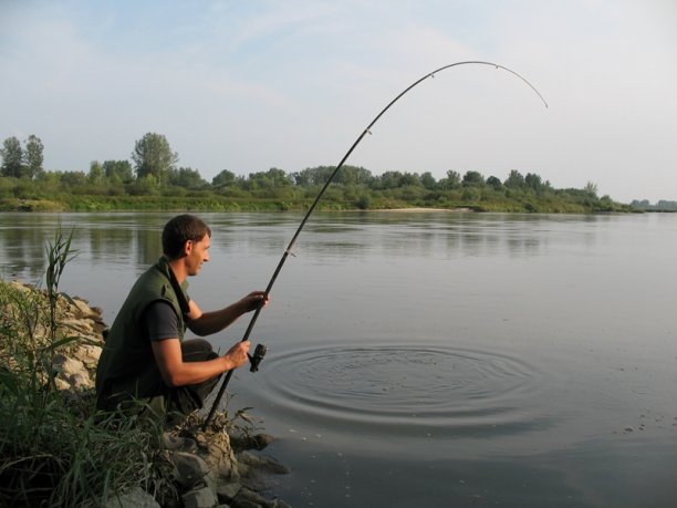 Shrap-Drakers.pl | Shrap Drakers Fishing | Wędkarstwo 