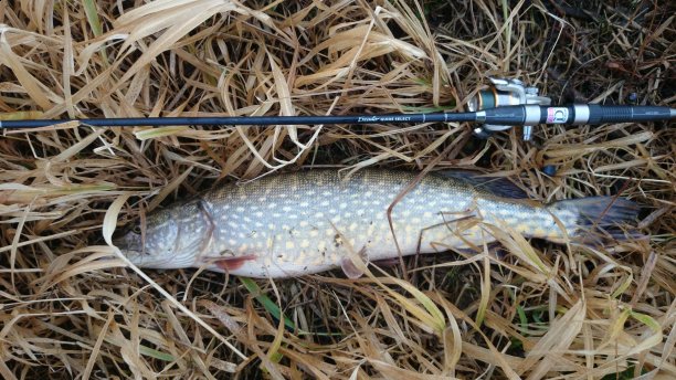 Shrap-Drakers.pl | Shrap Drakers Fishing | Wędkarstwo 