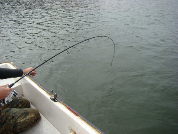 Shrap-Drakers.pl | Shrap Drakers Fishing | Wędkarstwo 