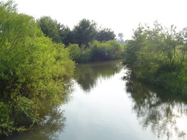 Shrap-Drakers.pl | Shrap Drakers Fishing | Wędkarstwo 