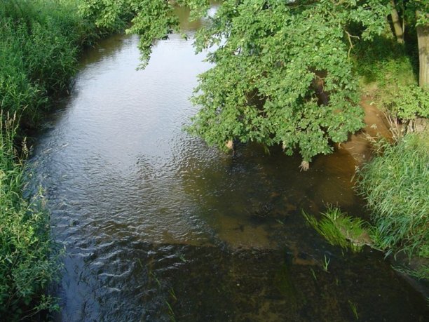 Shrap-Drakers.pl | Shrap Drakers Fishing | Wędkarstwo 