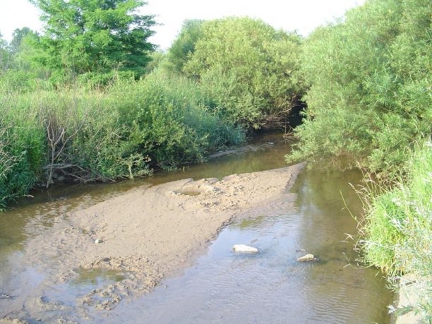 Shrap-Drakers.pl | Shrap Drakers Fishing | Wędkarstwo 