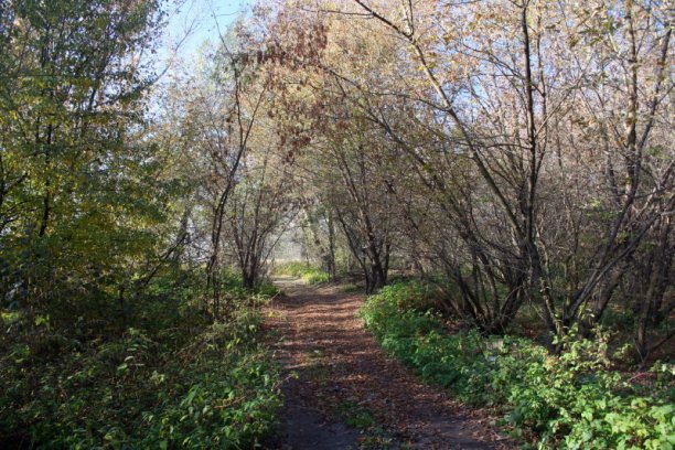 Shrap-Drakers.pl | Shrap Drakers Fishing | Wędkarstwo 