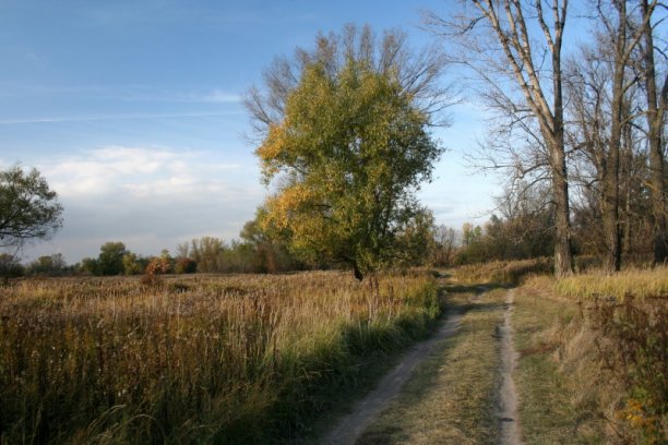 Shrap-Drakers.pl | Shrap Drakers Fishing | Wędkarstwo 