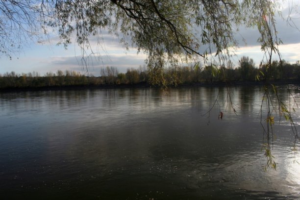 Shrap-Drakers.pl | Shrap Drakers Fishing | Wędkarstwo 