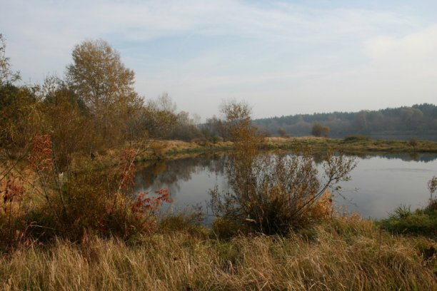 Shrap-Drakers.pl | Shrap Drakers Fishing | Wędkarstwo 