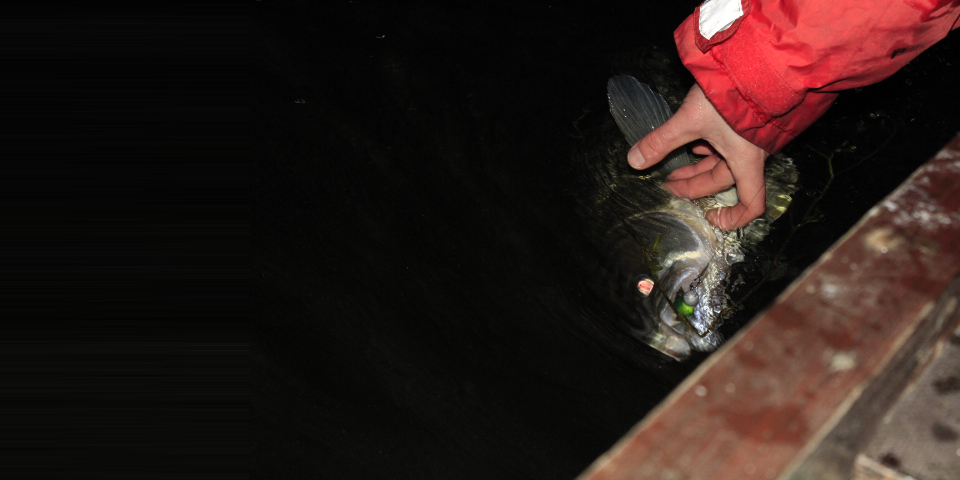 Shrap-Drakers.pl | Shrap Drakers Fishing | Wędkarstwo 