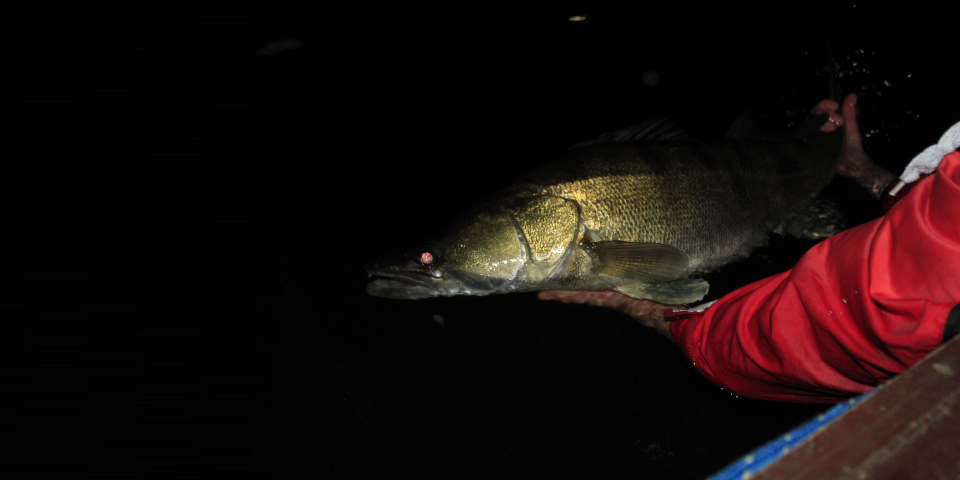 Shrap-Drakers.pl | Shrap Drakers Fishing | Wędkarstwo 