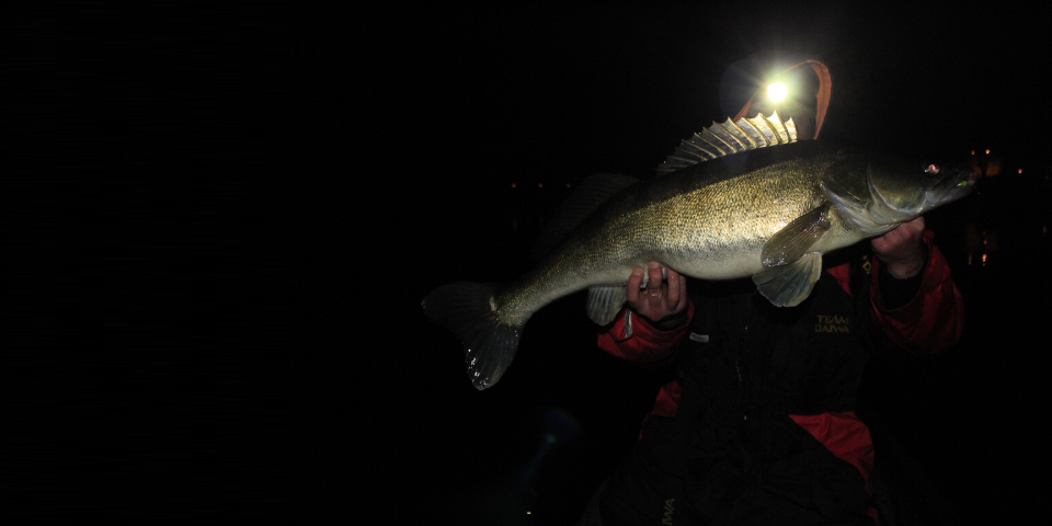 Shrap-Drakers.pl | Shrap Drakers Fishing | Wędkarstwo 