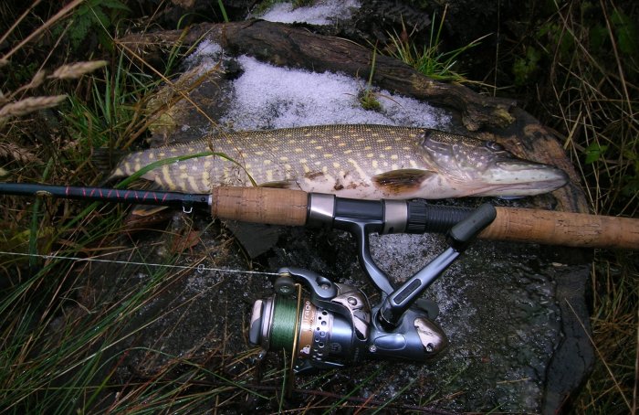 Shrap-Drakers.pl | Shrap Drakers Fishing | Wędkarstwo 