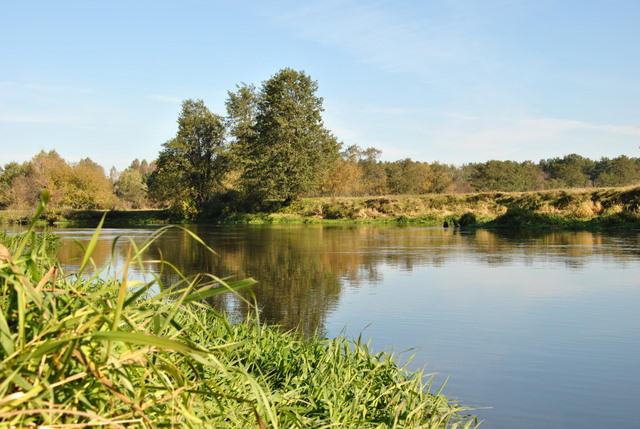 Shrap-Drakers.pl | Shrap Drakers Fishing | Wędkarstwo 