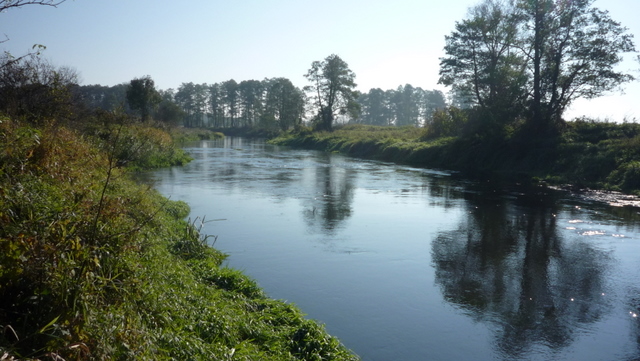 Shrap-Drakers.pl | Shrap Drakers Fishing | Wędkarstwo 