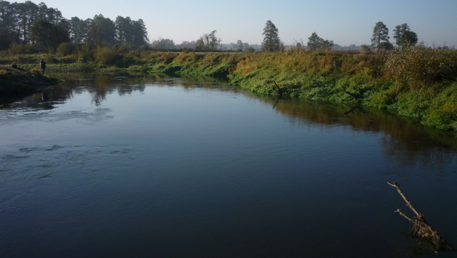 Shrap-Drakers.pl | Shrap Drakers Fishing | Wędkarstwo 