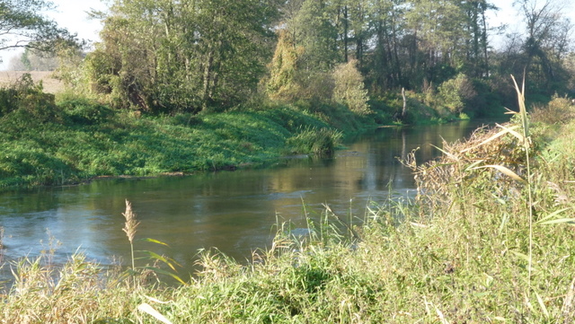 Shrap-Drakers.pl | Shrap Drakers Fishing | Wędkarstwo 