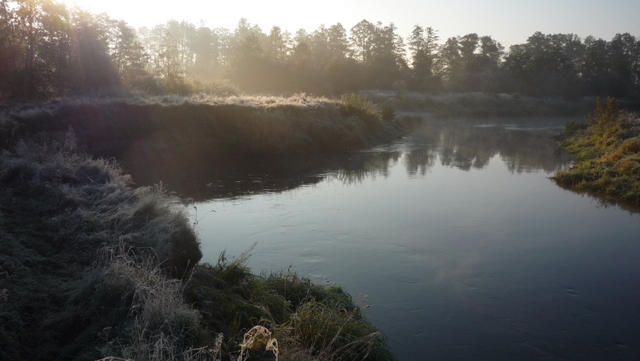 Shrap-Drakers.pl | Shrap Drakers Fishing | Wędkarstwo 