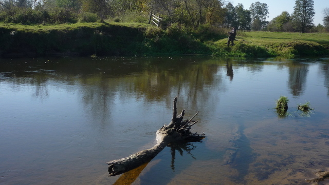 Shrap-Drakers.pl | Shrap Drakers Fishing | Wędkarstwo 
