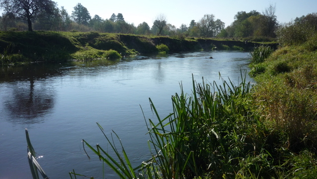 Shrap-Drakers.pl | Shrap Drakers Fishing | Wędkarstwo 